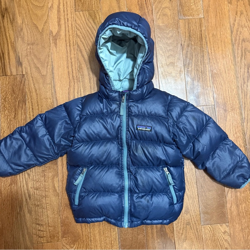 Patagonia Blue Hooded Jacket